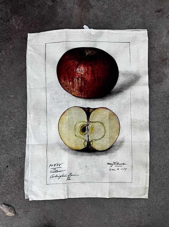 Barbara O’Donovan Tea Towels