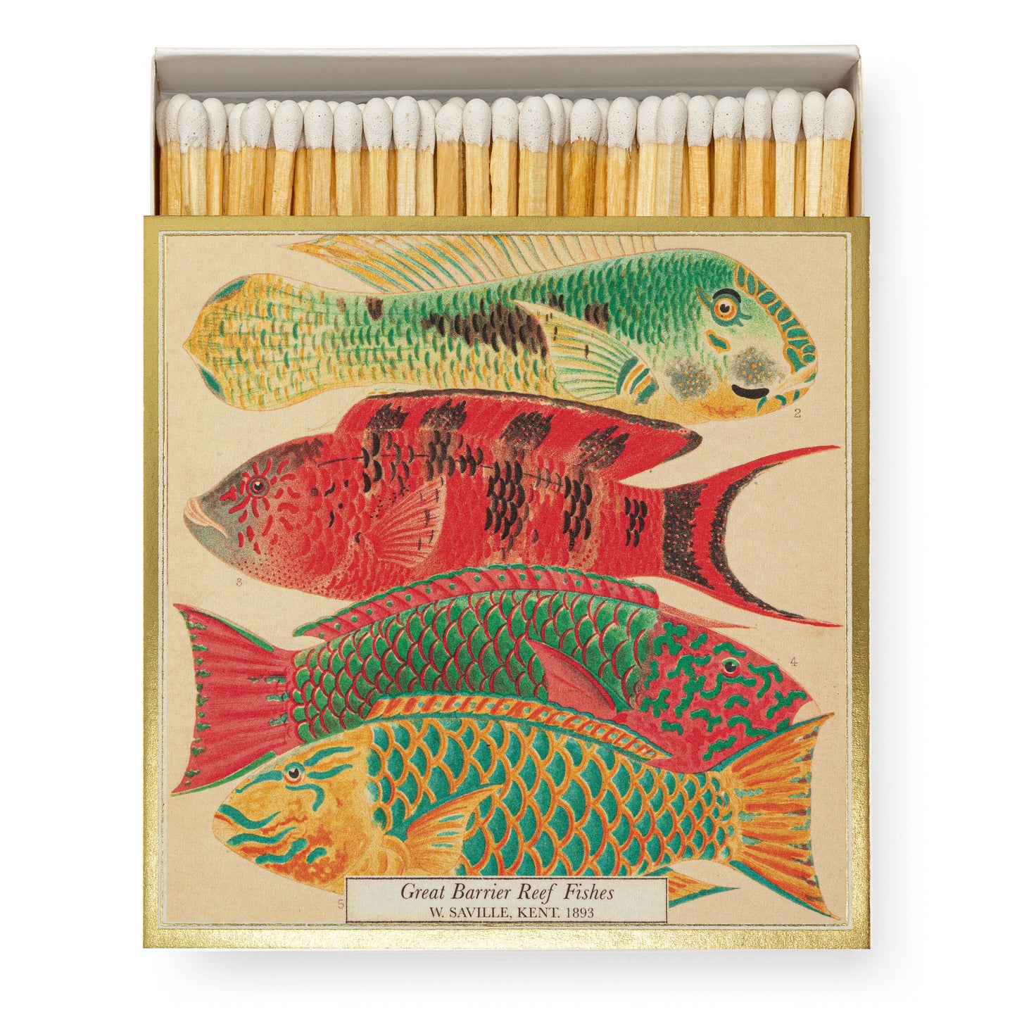Fish | Square Matchboxes