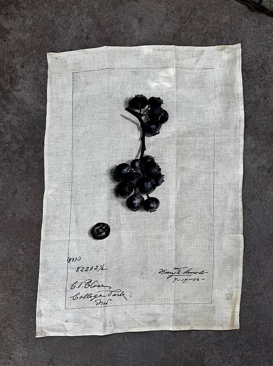 Barbara O’Donovan Tea Towels