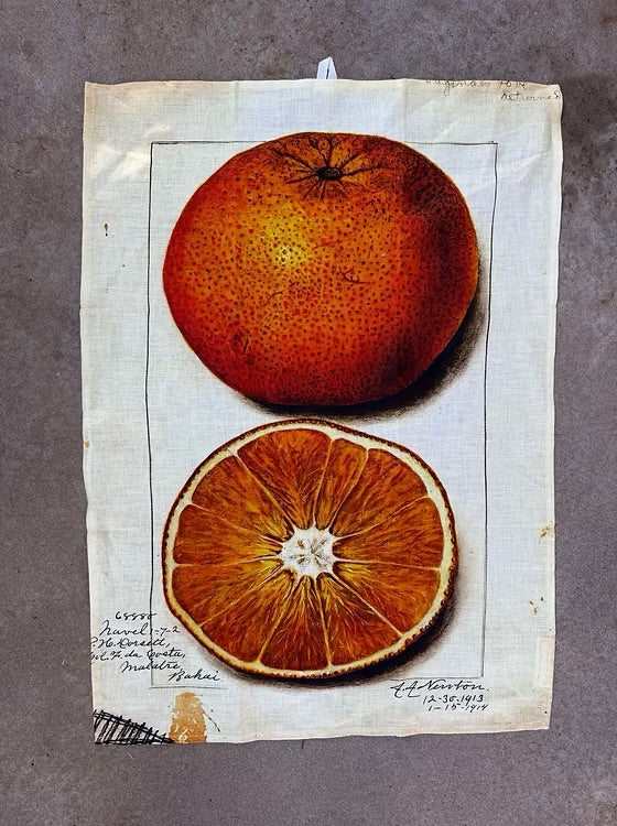 Barbara O’Donovan Tea Towels
