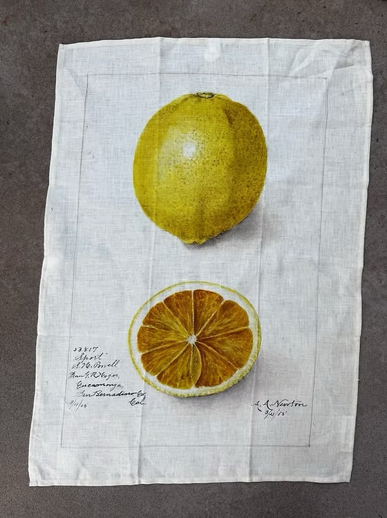 Barbara O’Donovan Tea Towels