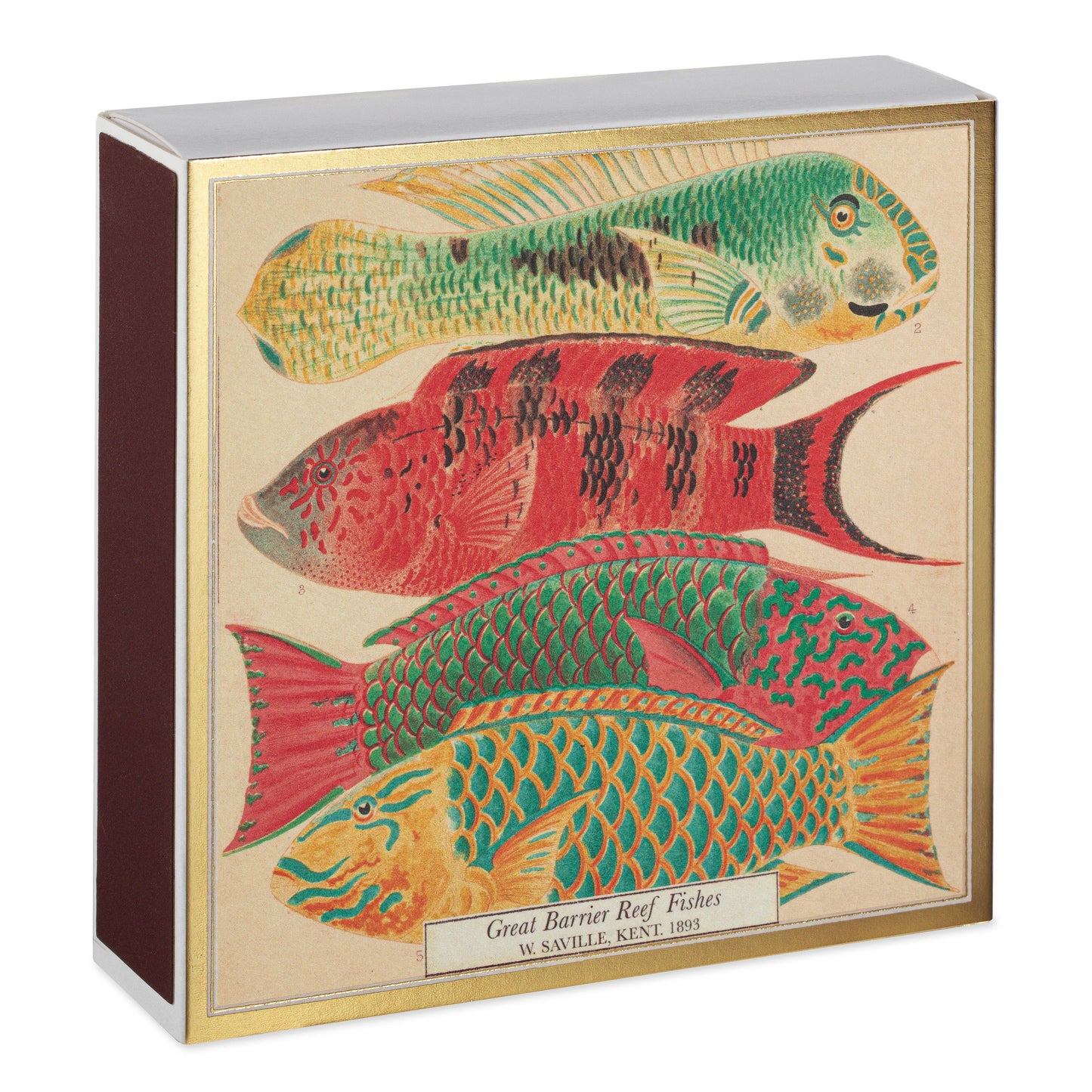 Fish | Square Matchboxes