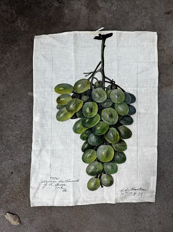 Barbara O’Donovan Tea Towels