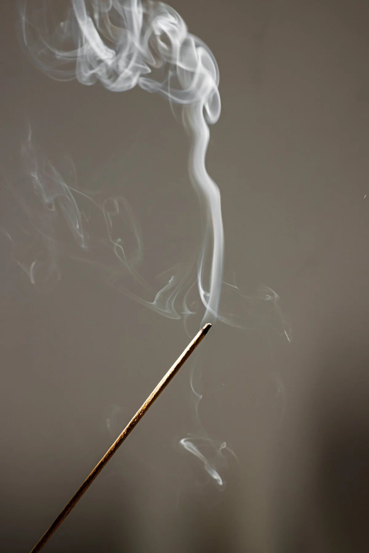 Alta Incense Sticks - Balance