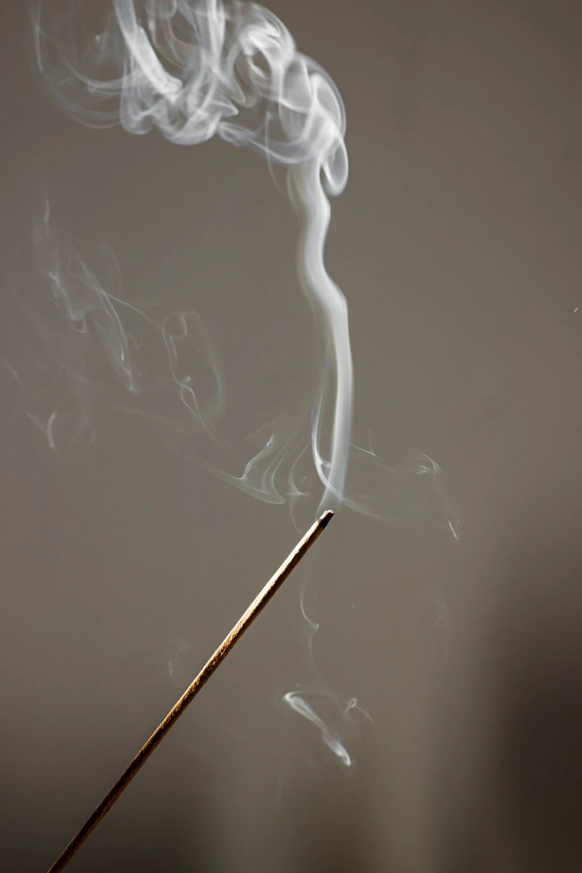 Alta Incense Sticks - Unwind